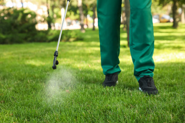 Best Wildlife Control Services  in Mount Oliver, PA