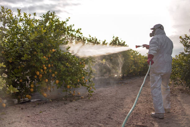 Best Exterminator Services  in Mount Oliver, PA