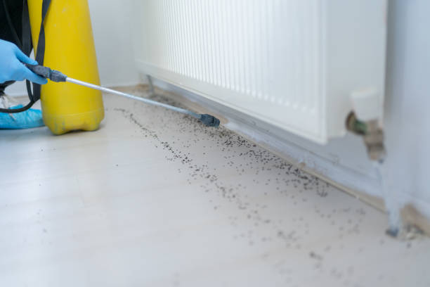 Professional Pest Control in Mount Oliver, PA