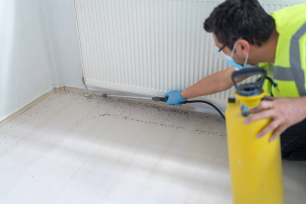 Best Pest Control for Restaurants  in Mount Oliver, PA